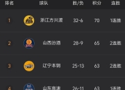 开云官方网-关于高手较量，季后赛晋级球队成功晋级的信息